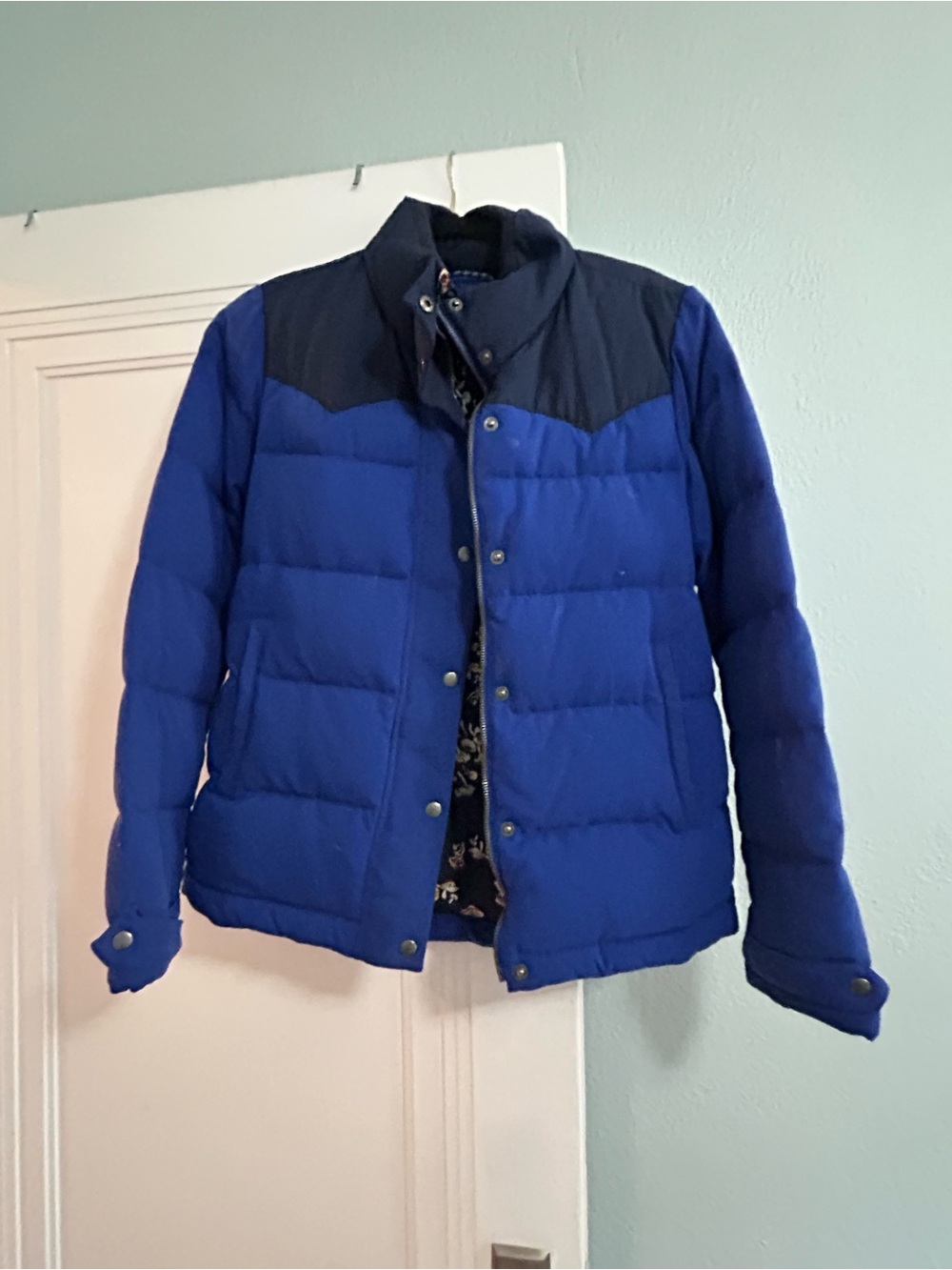 Patagonia Blue Puffer Jack with Mushroom Lining